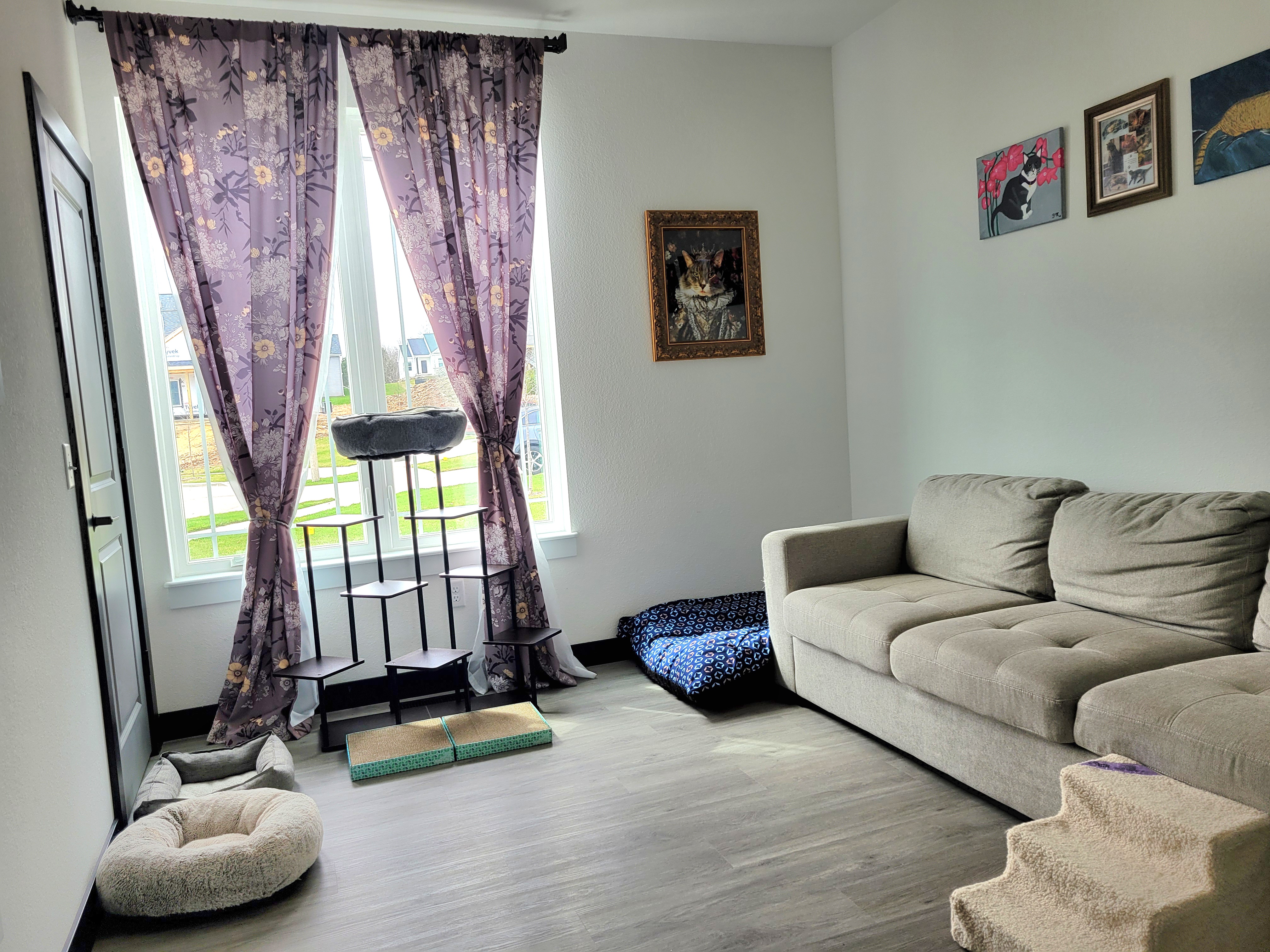 Private cat boarding room at Pawsitive Pet Care