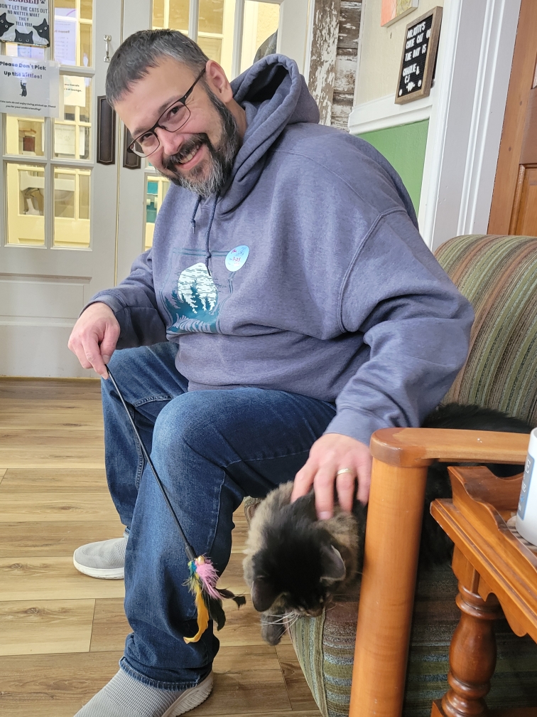 Cat boarding room with climbing and resting areas