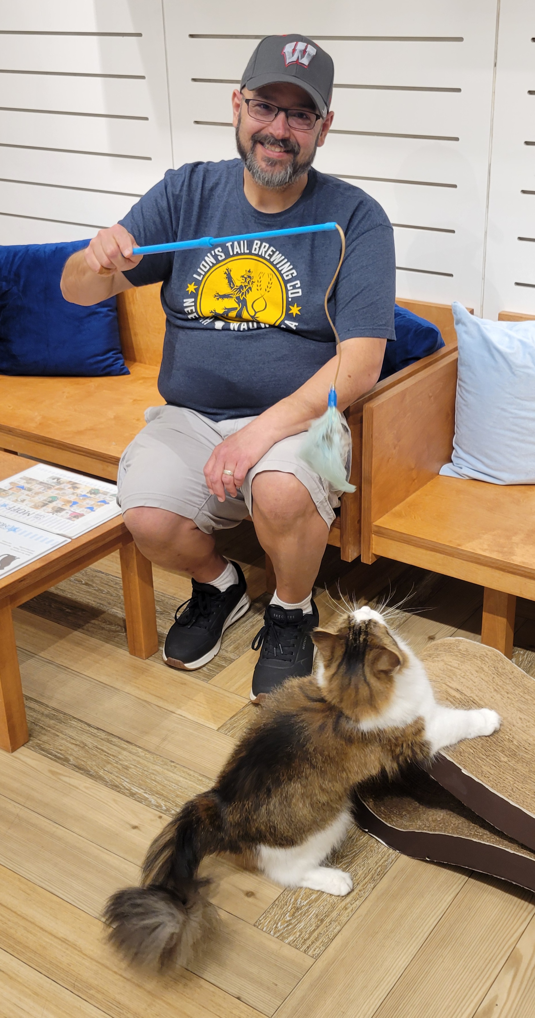 Safe in-home boarding environment for cats